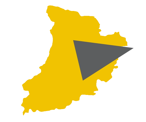 agencia seo y posicionamiento web en Lleida